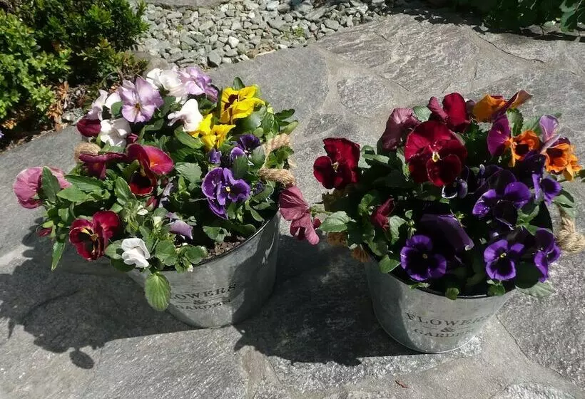 Отель Kershaw House Boutique Accommodation