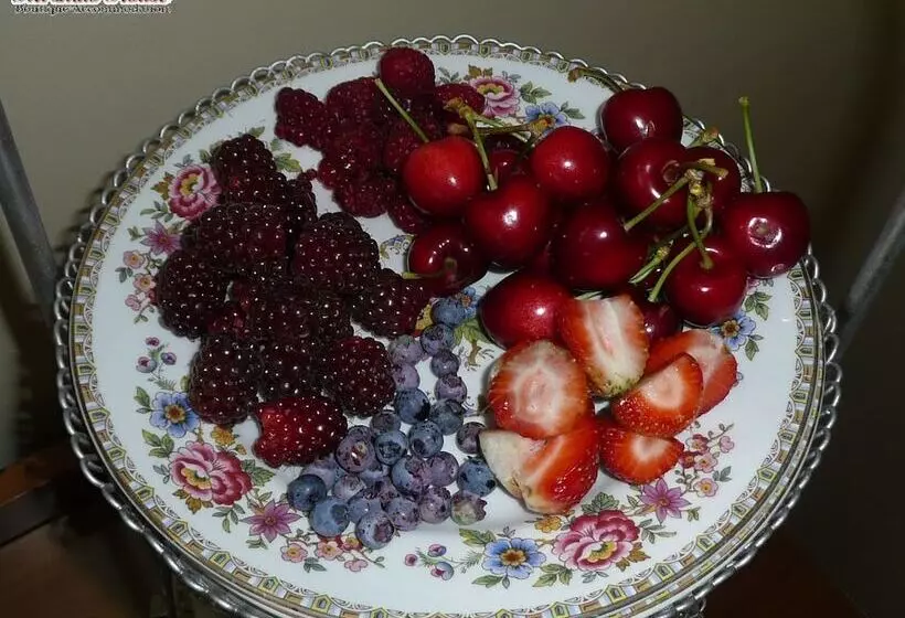 Отель Kershaw House Boutique Accommodation