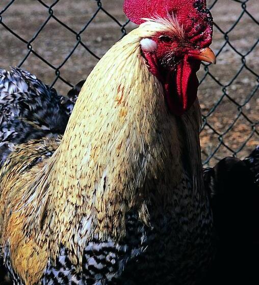 교외 호텔 Posada La Trebede