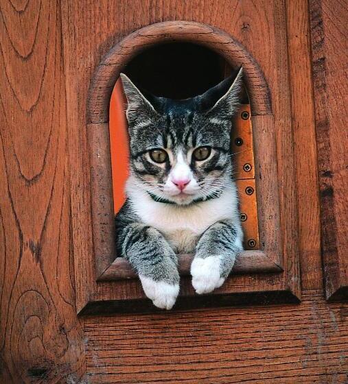 교외 호텔 Posada La Trebede