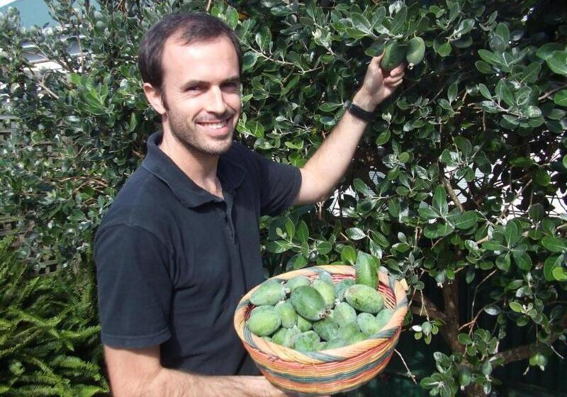 בית מלון כפרי The Great Ponsonby Art