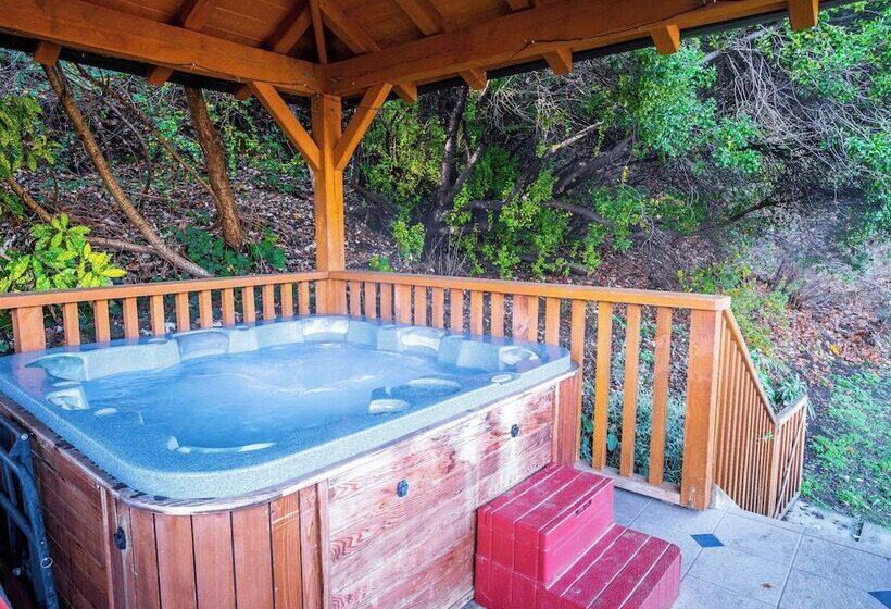 فندق Wanaka Springs Lodge