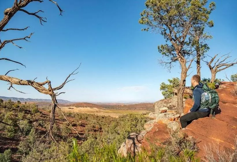 Rawnsley Park Station