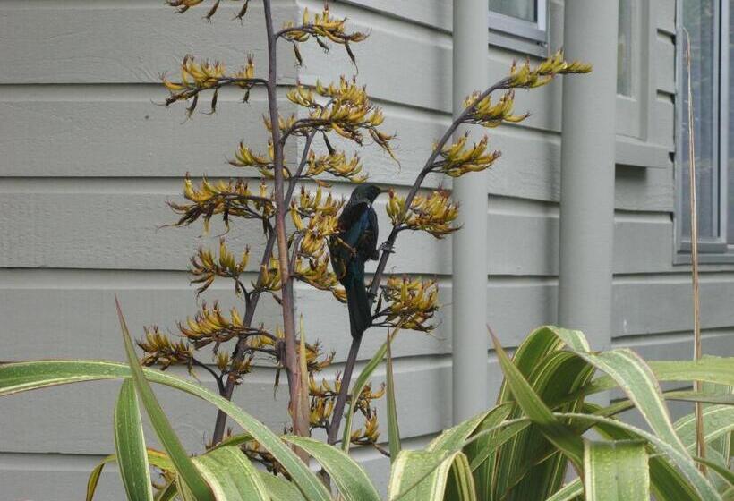 Tongariro River Motel