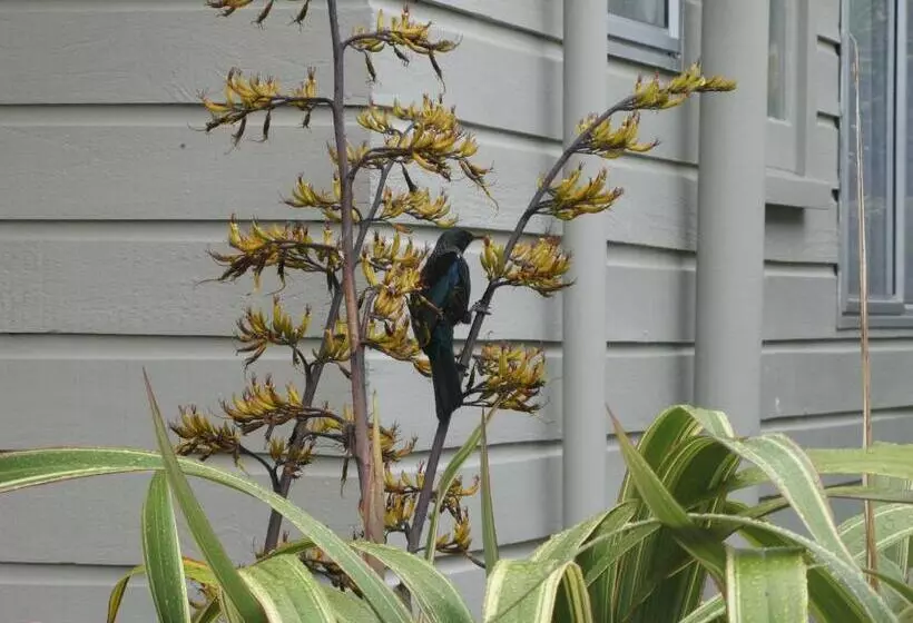 Tongariro River Motel
