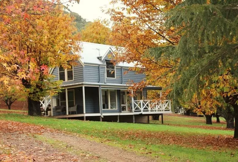 هتل Abbys Cottages Bright