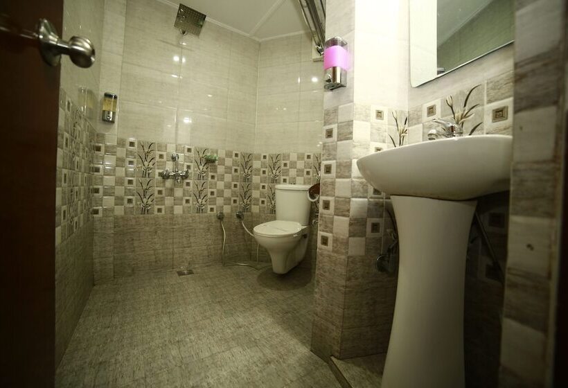 호텔 Samrat International