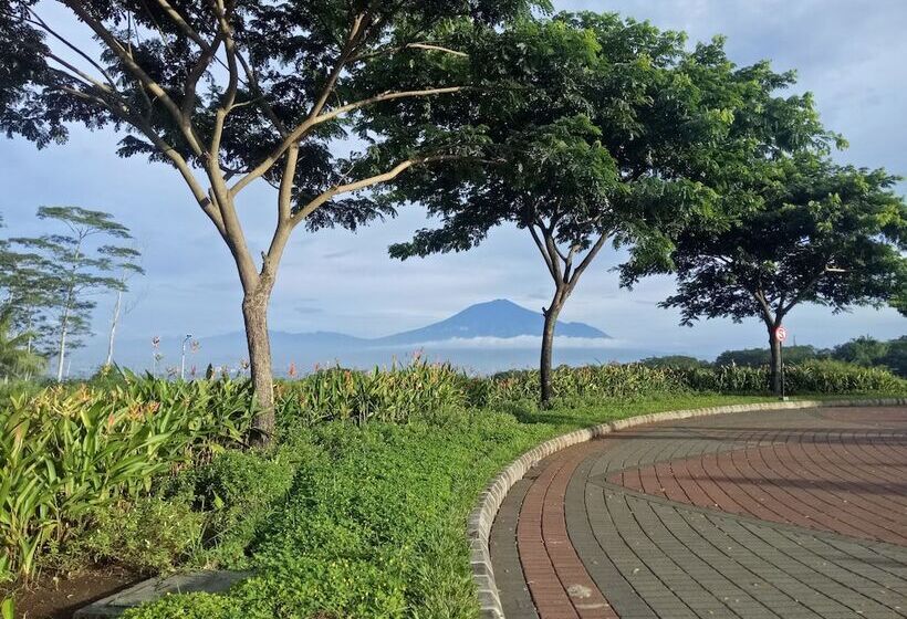 פנסיון Palatino Guesthouse