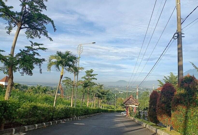 פנסיון Palatino Guesthouse