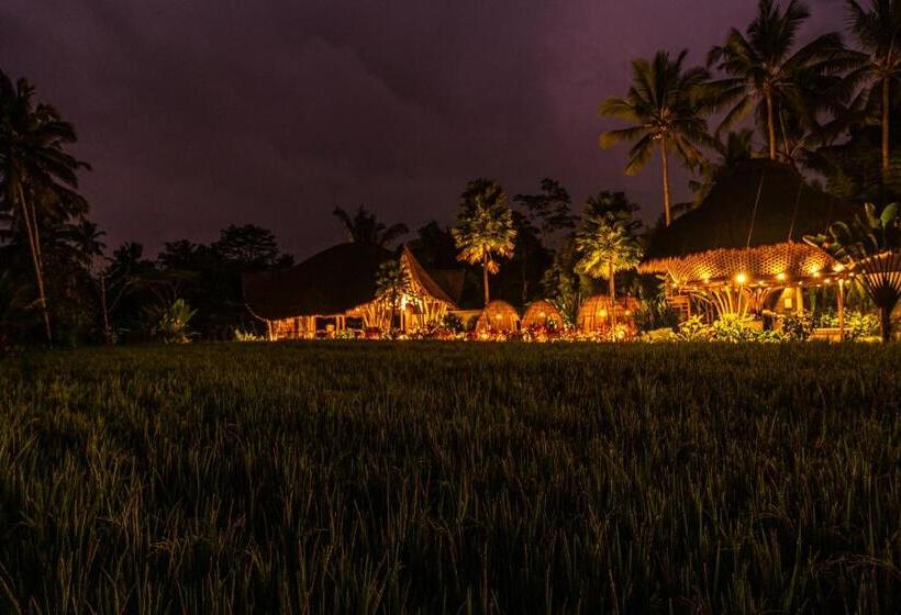 منتجع Keliki Luxury Lodge