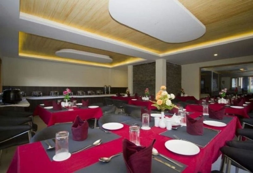 Отель Manali Green