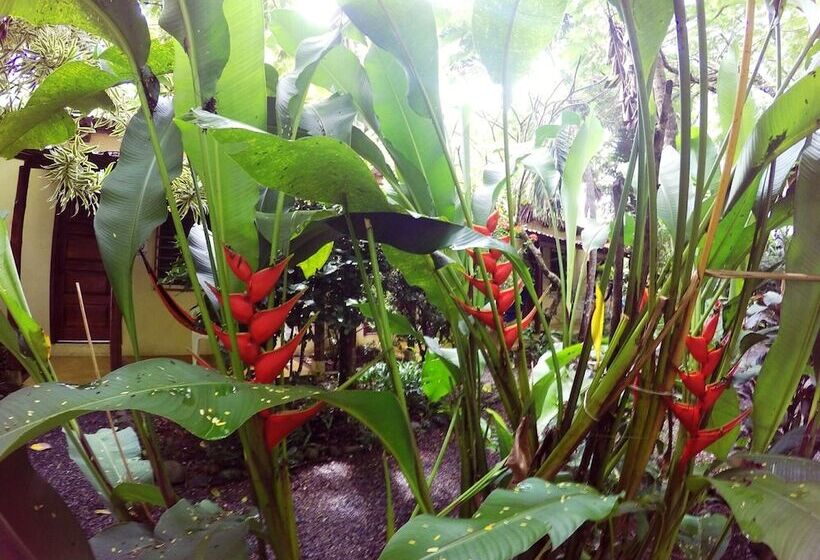 هتل Tropical Sands Dominical Eco Inn