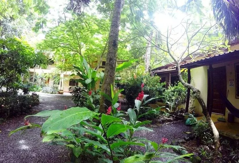 هتل Tropical Sands Dominical Eco Inn