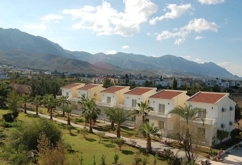 Отель Mountain View