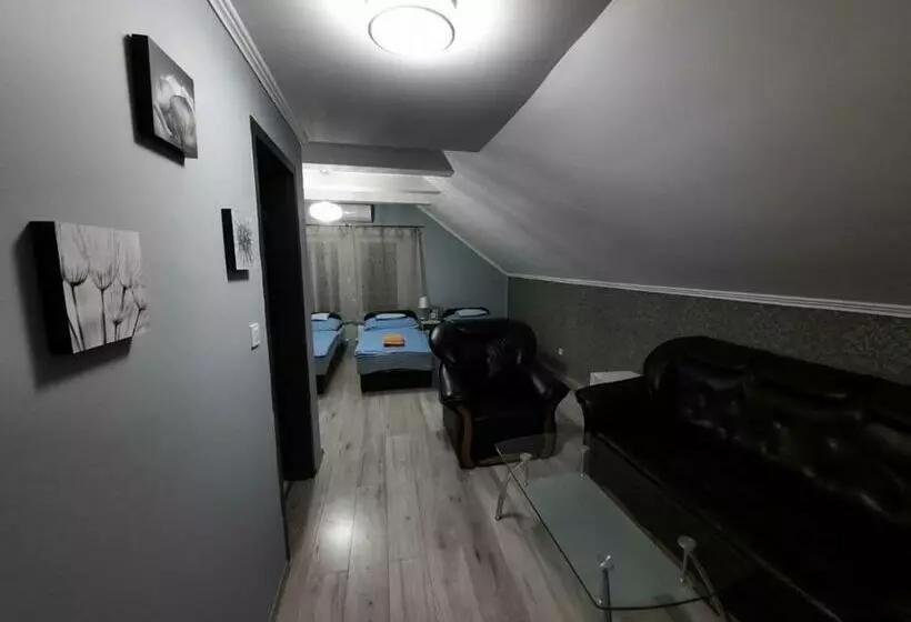 ベッドアンドブレックファースト Borostyán Panzió