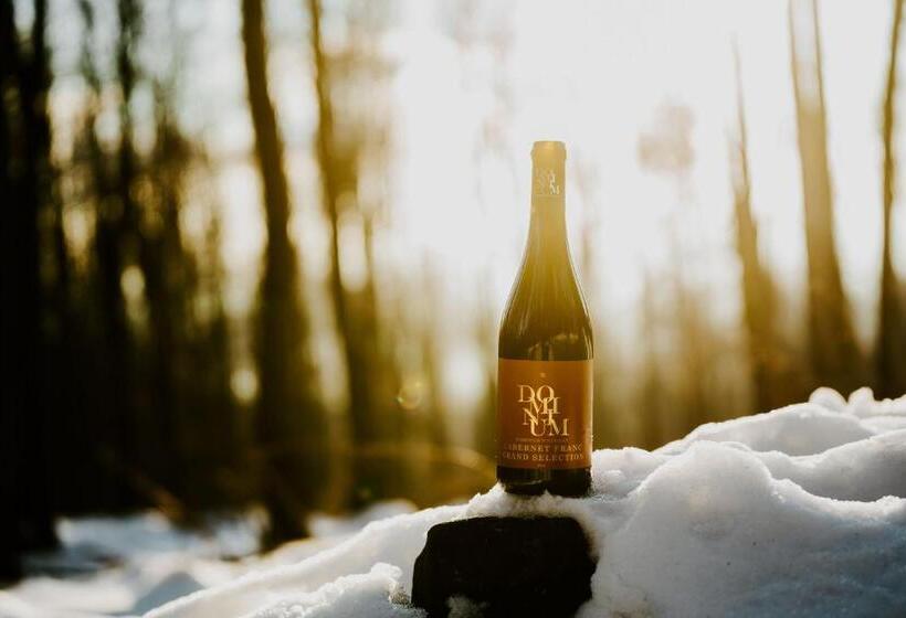 ベッドアンドブレックファースト Dominium Pincészet és Panzió