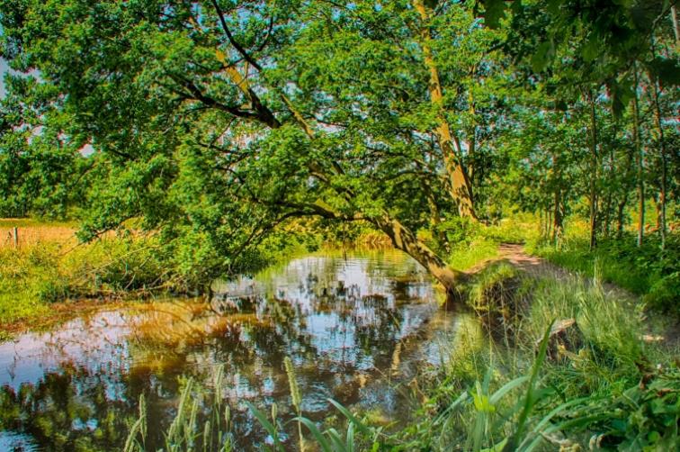 민박 Guesthouse Valkenswaard