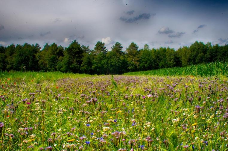 민박 Guesthouse Valkenswaard