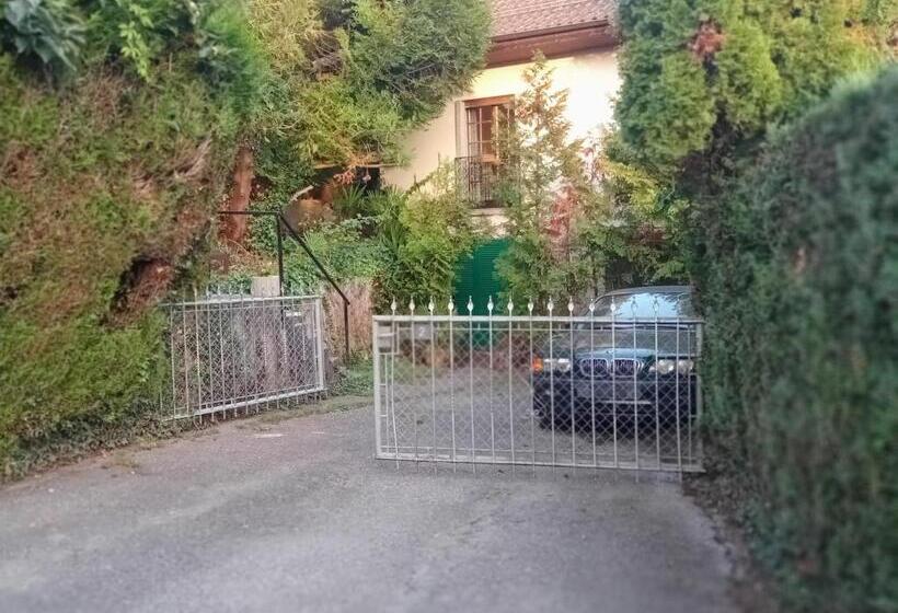 Pensió Petit St George 100mt Du Lac