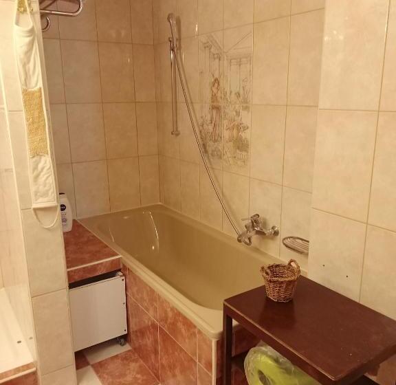 Pensió Petit St George 100mt Du Lac