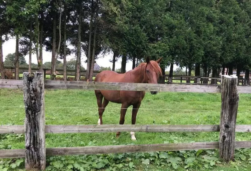 Aamiaismajoitus (B&B) Le Domaine Des Volets Bleus