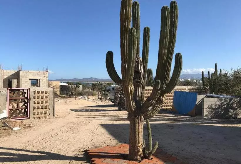 Majatalo Susu’z Village Hostel And Rooms