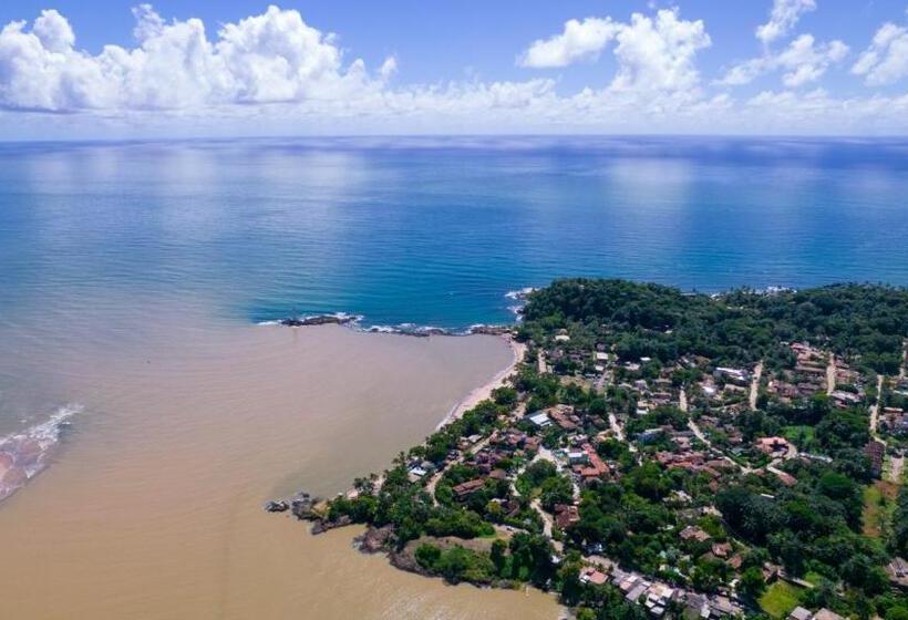 Pensjonat Shark Tubarao Suites Central Area