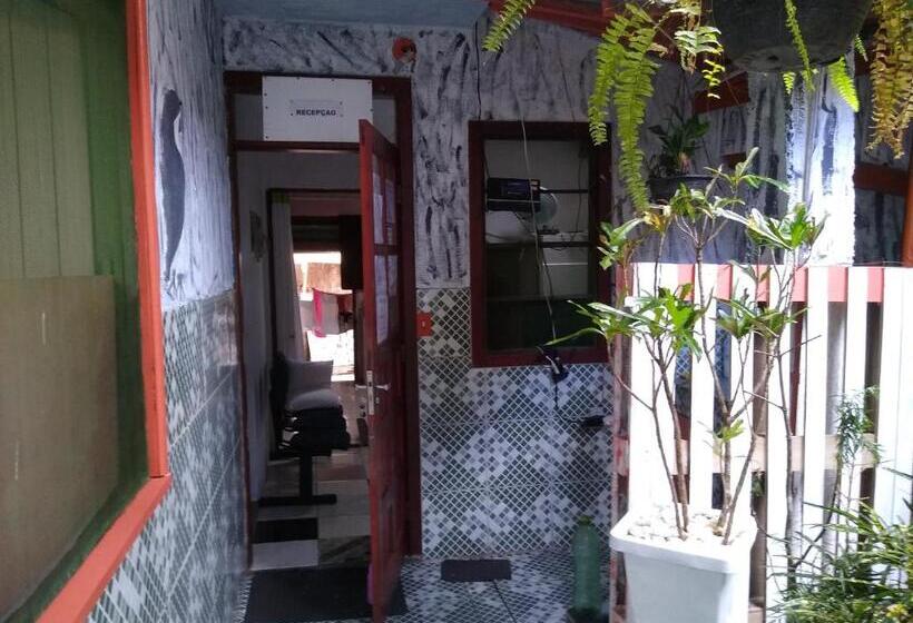 Pensjonat Shark Tubarao Suites Central Area