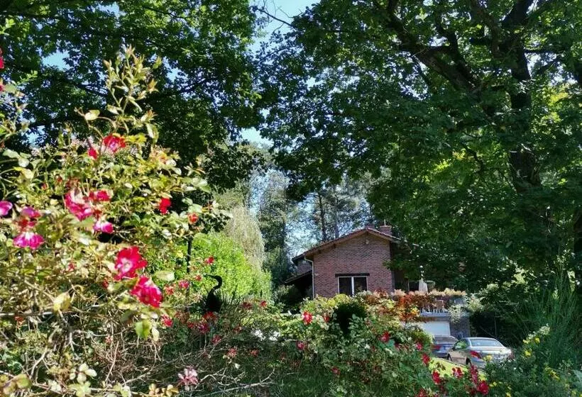 Bed and Breakfast Les Sittelles   Tilff