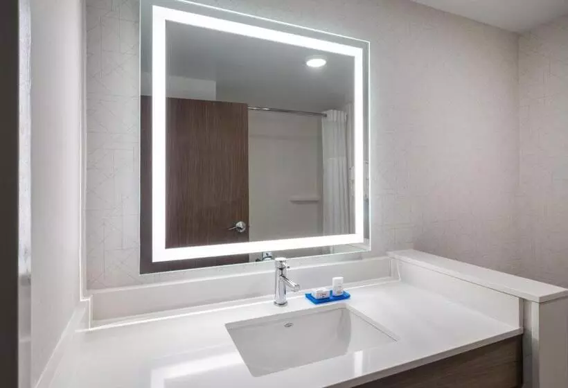 ホテル Holiday Inn Express   Gaffney, An Ihg