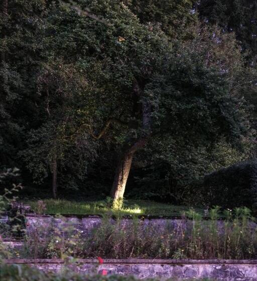 Les Terrasses Des Falizes B&b