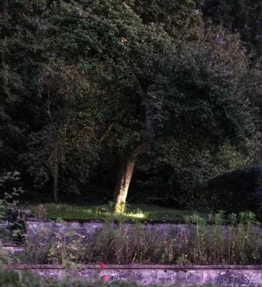 Les Terrasses Des Falizes B&b