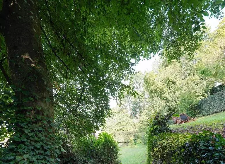 Les Terrasses Des Falizes B&b