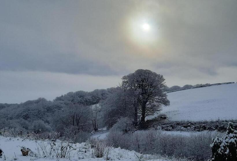 פנסיון Longstone Bed And Breakfast