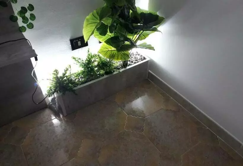 Aamiaismajoitus (B&B) Short Lets Radici Di Puglia