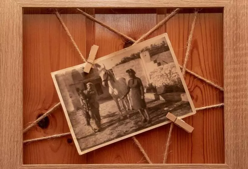 Aamiaismajoitus (B&B) Short Lets Radici Di Puglia