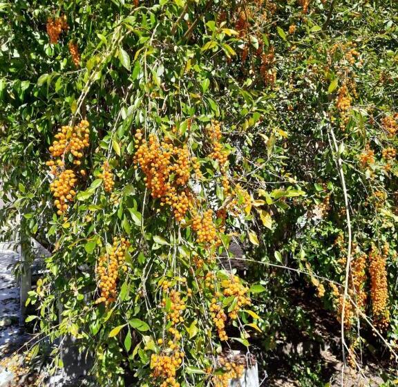 تختخواب و صبحانه Gîte Le Calou Pilon