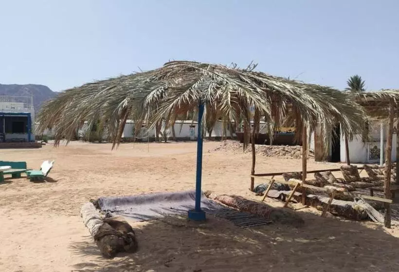 هتل Oasis Resort