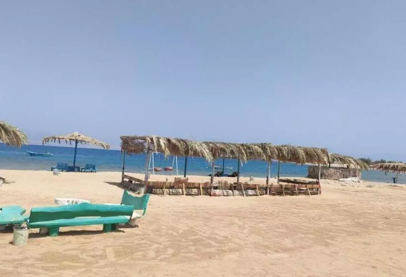 هتل Oasis Resort