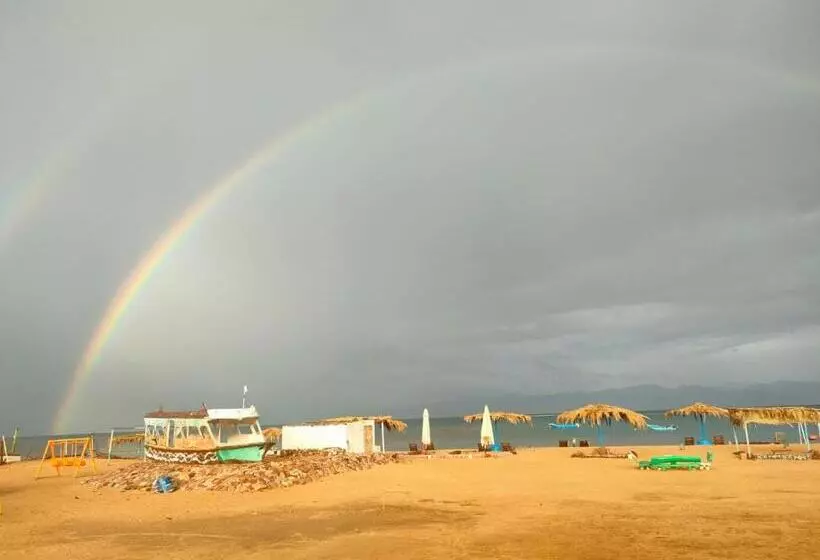 هتل Oasis Resort