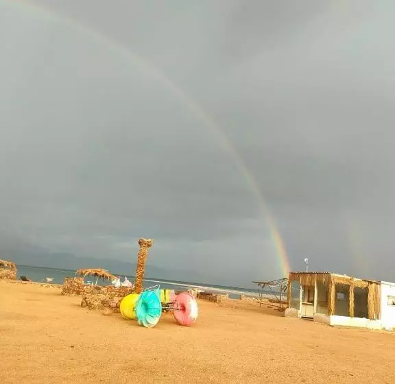 هتل Oasis Resort