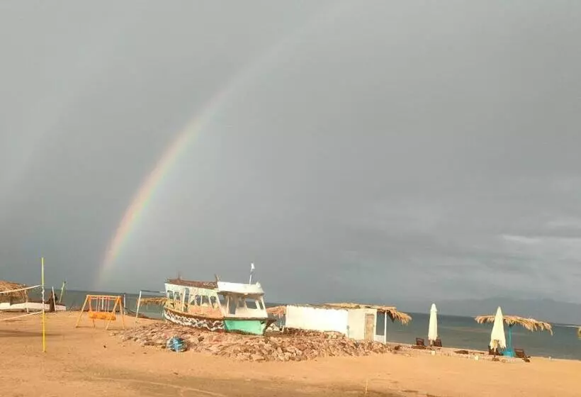 هتل Oasis Resort