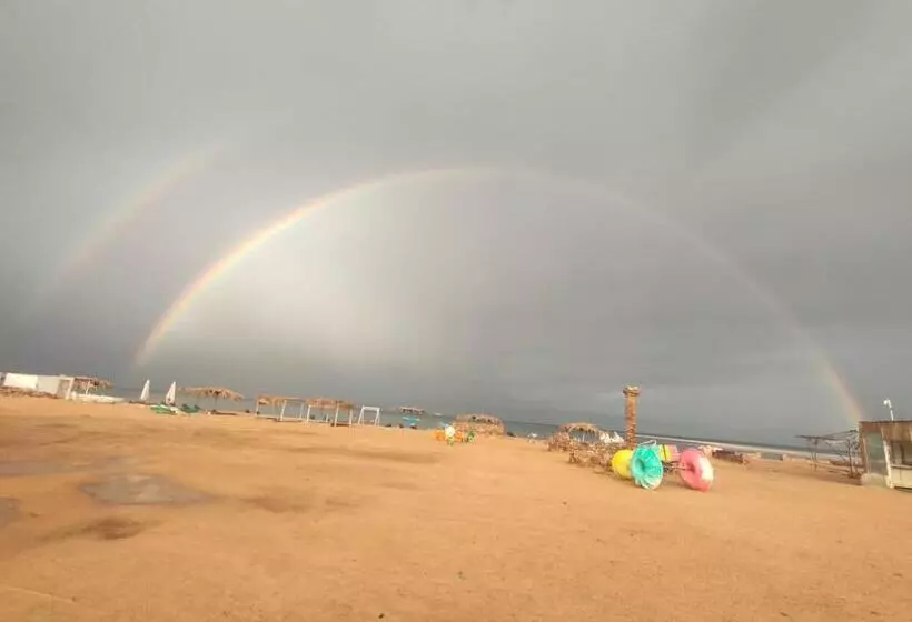 هتل Oasis Resort