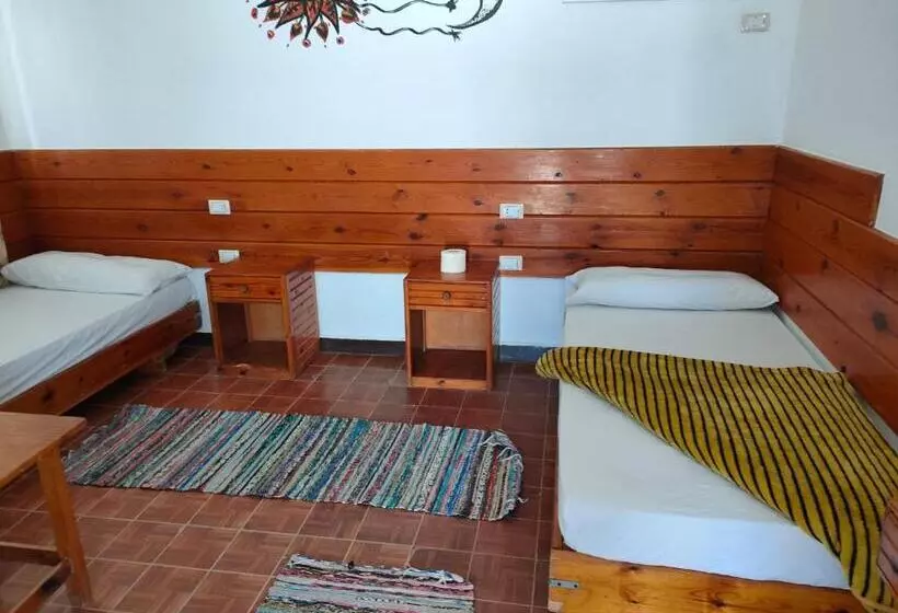 هتل Oasis Resort