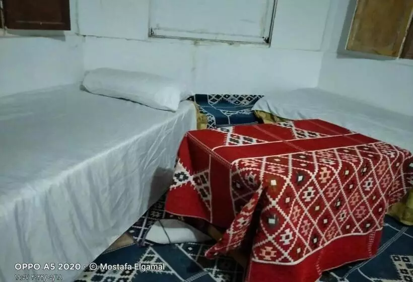 هتل Oasis Resort