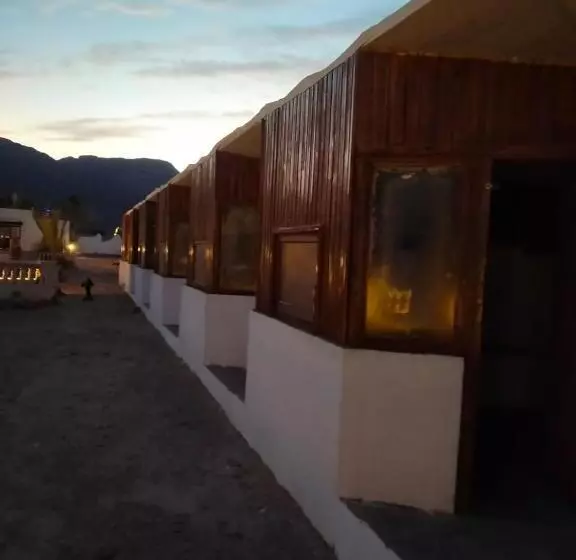 هتل Oasis Resort