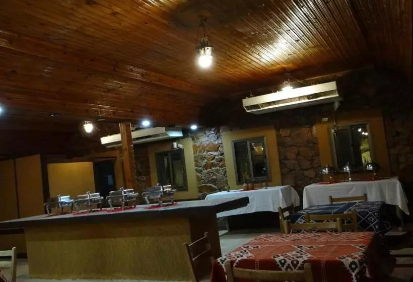 هتل Oasis Resort