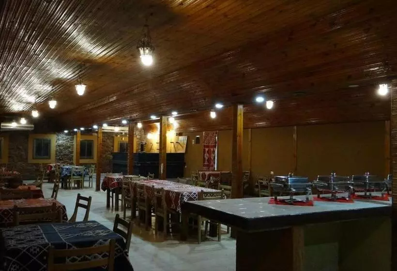 هتل Oasis Resort