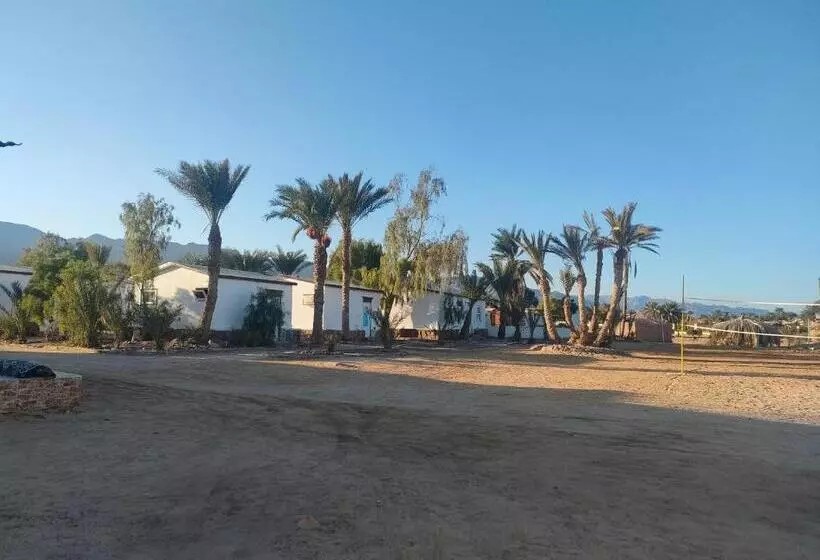 هتل Oasis Resort