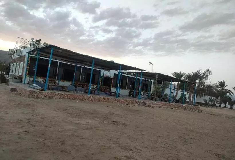 هتل Oasis Resort
